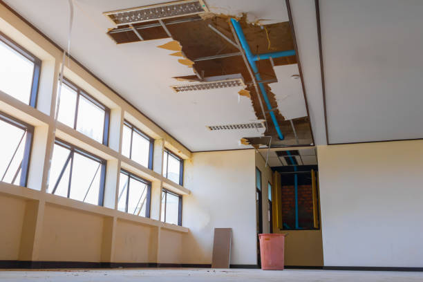 Best Emergency water damage restoration  in Mount Repose, OH