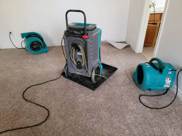 Best Ceiling water damage repair  in Mount Repose, OH