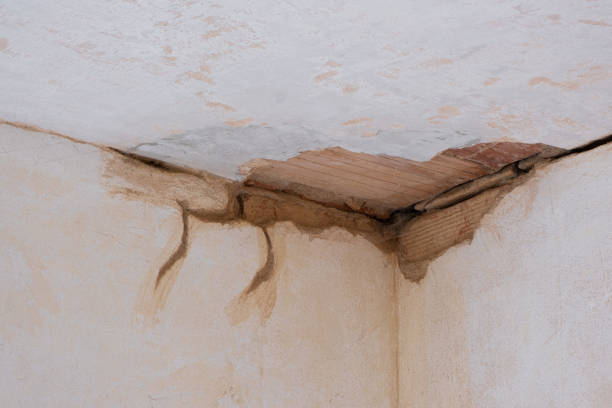 Best Flood restoration services  in Mount Repose, OH