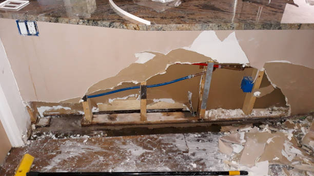 Best Carpet water damage restoration  in Mount Repose, OH