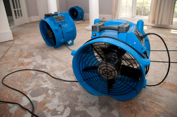 Best Water damage restoration experts  in Mount Repose, OH