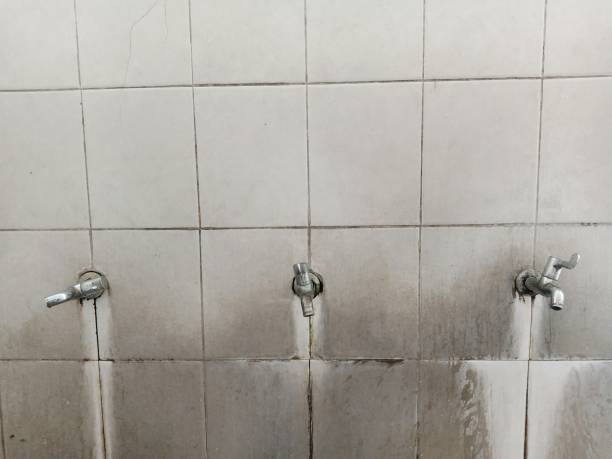 Best Water damage restoration process  in Mount Repose, OH