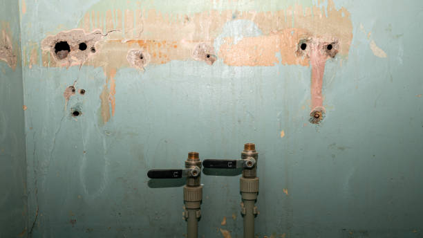 Best 24-hour water damage restoration  in Mount Repose, OH